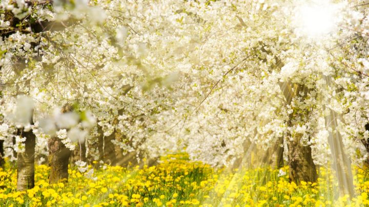 Obrázek epizody HOROSKOPY: Váhy, velké štěstí vás dnes nepotká, ale budete potěšeni i menšími úspěchy