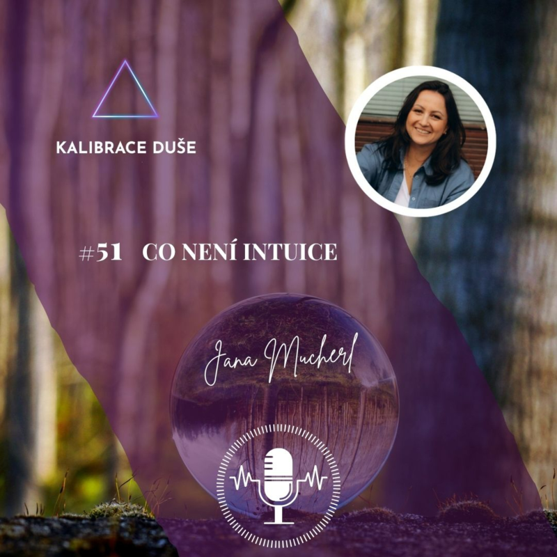 Obrázek epizody #51 Co není intuice