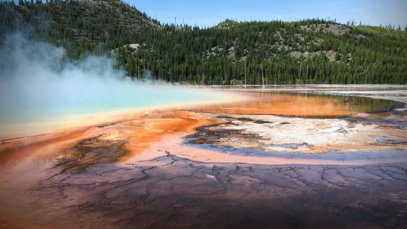 Obrázek epizody Earth's original inhabitants -- and their role in combating climate change | Steven Allison