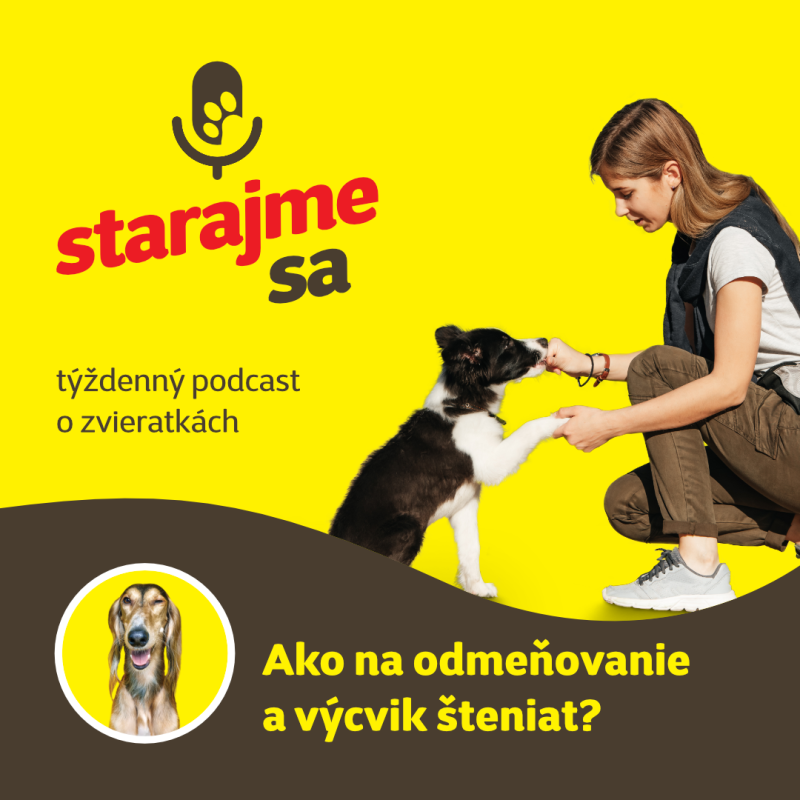 Obrázek epizody Psy: Ako na odmeňovanie a výcvik šteniat?