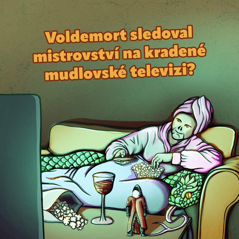 Obrázek epizody Voldemort sledoval mistrovství na kradené mudlovské televizi? (S4E08-3)