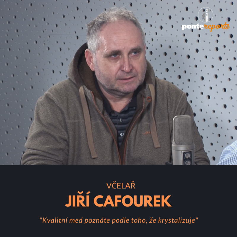 Obrázek epizody Jiří Cafourek – včelař: Kvalitní med poznáte podle toho, že krystalizuje