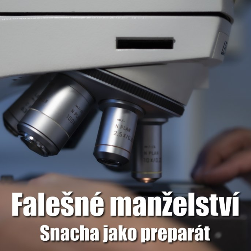 Obrázek epizody Blog 33 ... Co jsou to falešná manželství? Příběh Táni, Honzy a jeho maminky. Snacha jako mikroskopický preparát. “Nevidomý” manžel a syn v jedné osobě. Přijde někdy k rozumu?