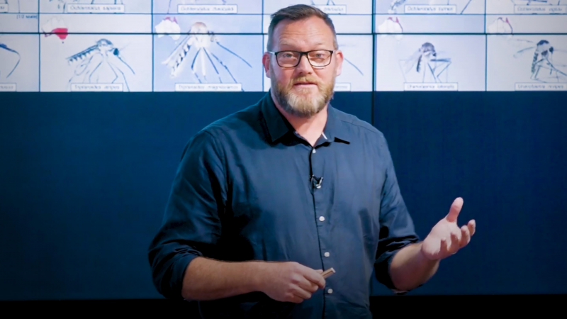 Obrázek epizody How to design mosquitoes out of cities | Cameron Webb