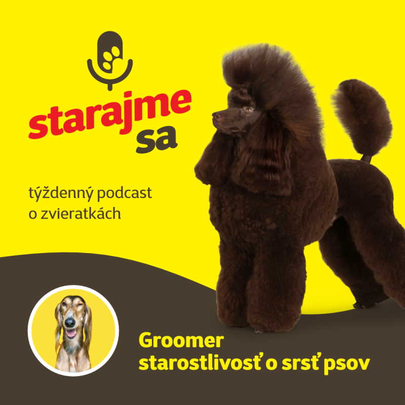 Obrázek epizody Psy: Groomer - starostlivosť o srsť psov