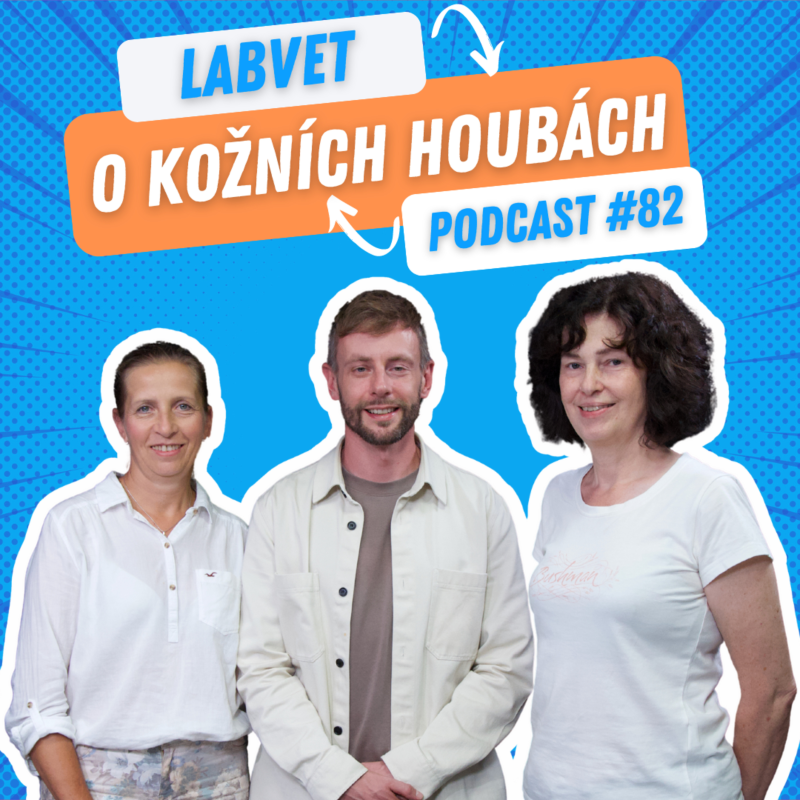 Obrázek epizody 👨⚕️O kožních houbách👨⚕️ | Labvet Podcast #82