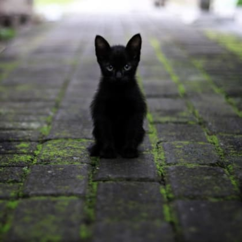 Obrázek epizody Prima Svět 2021 (4)