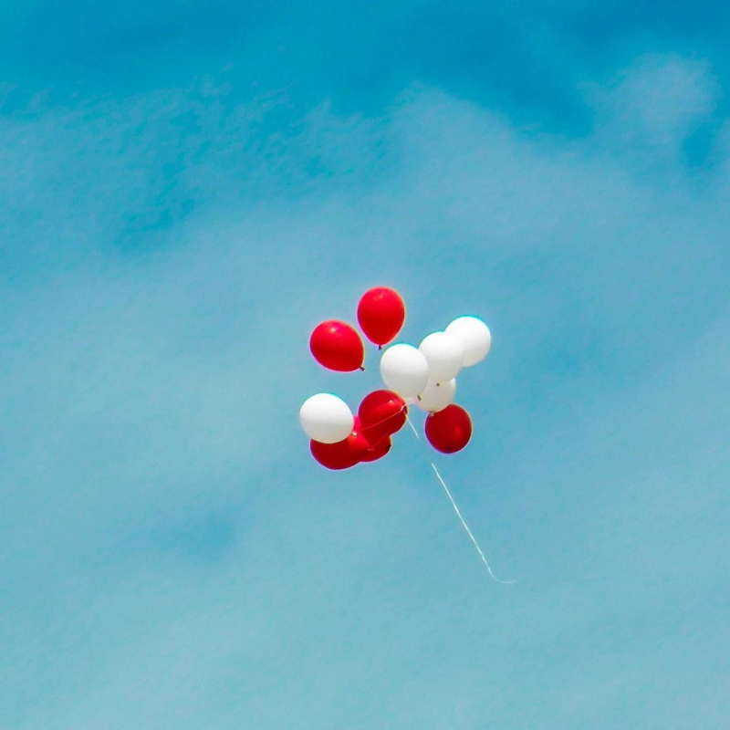 Obrázek epizody Larryho nezapomenutelný let