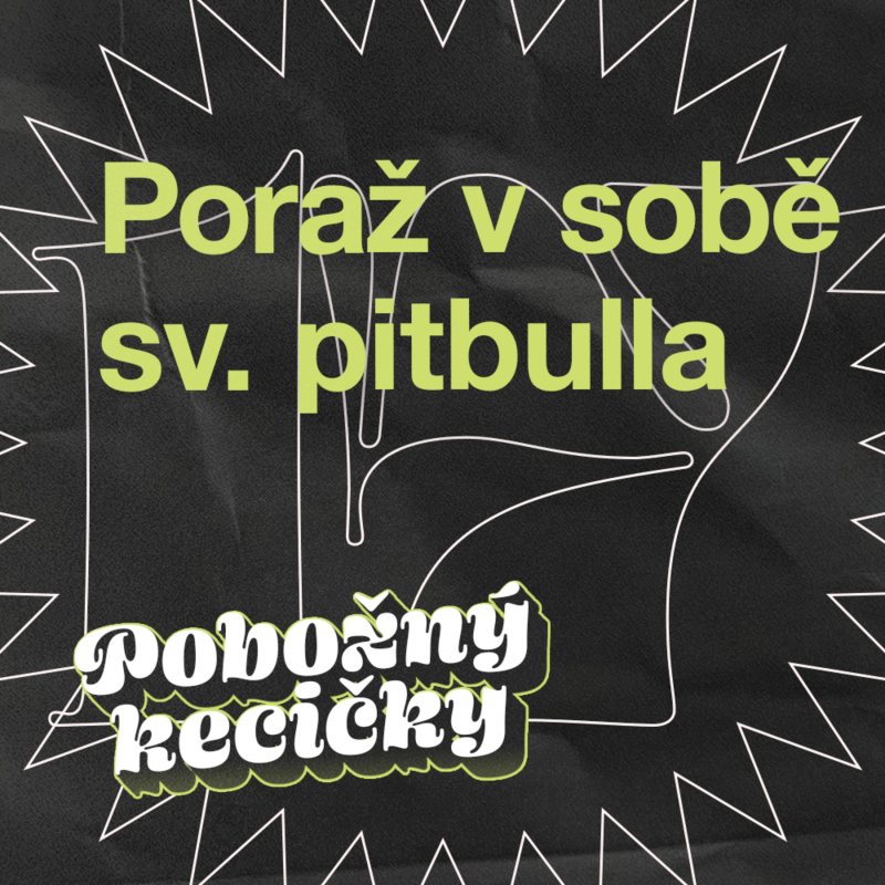 Obrázek epizody 17 | Poraž v sobě sv. pitbulla. O tom, jak nás vztah s Bohem může proměnit