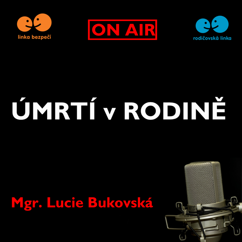 Obrázek epizody Úmrtí v rodině