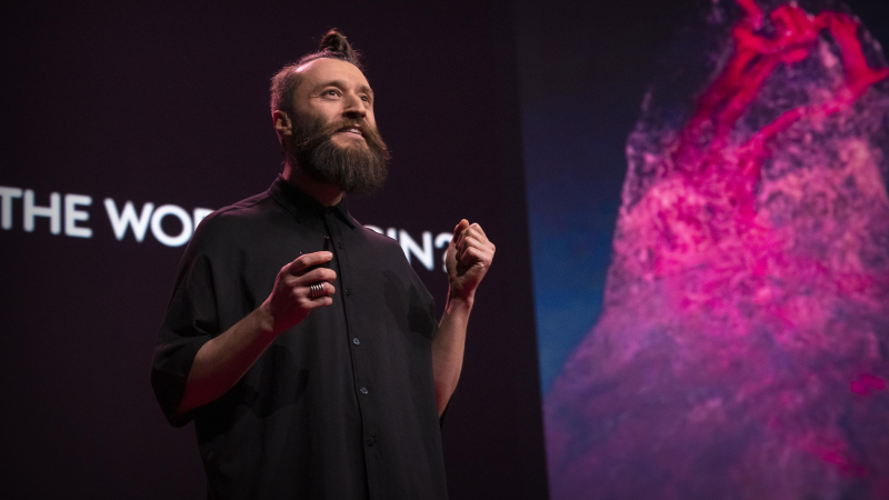 Obrázek epizody What's it like to be a giant sequoia tree? | Ersin Han Ersin