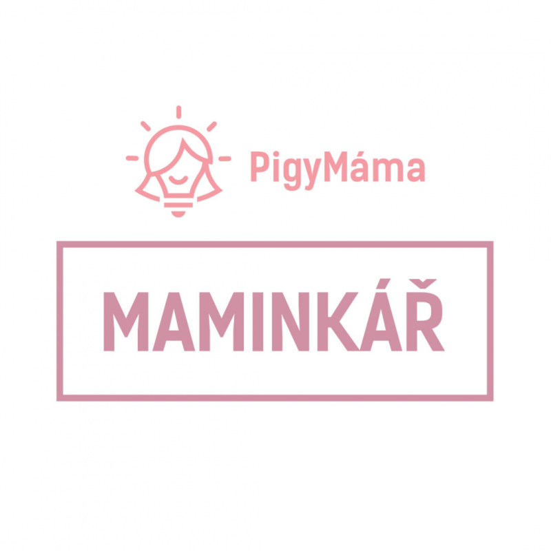 Obrázek epizody Jana Uher: Péče duly má prokazatelně pozitivní efekt na průběh porodu a zdraví ženy.