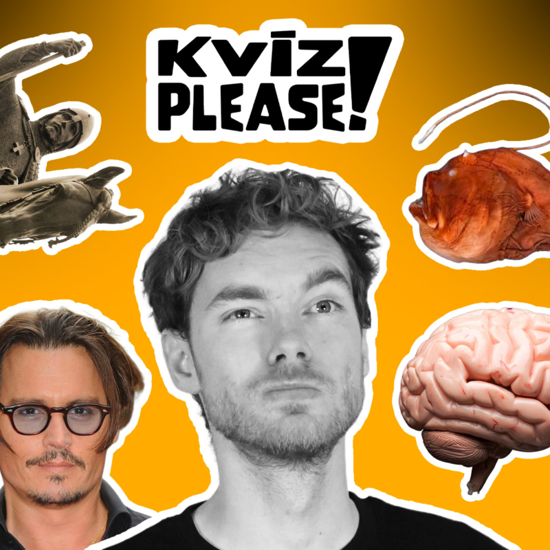 Obrázek epizody Kvíz: Mozek, Johnny Depp, mořské ryby...
