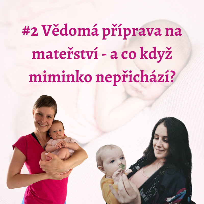 Obrázek epizody Vědomá příprava na rodičovství