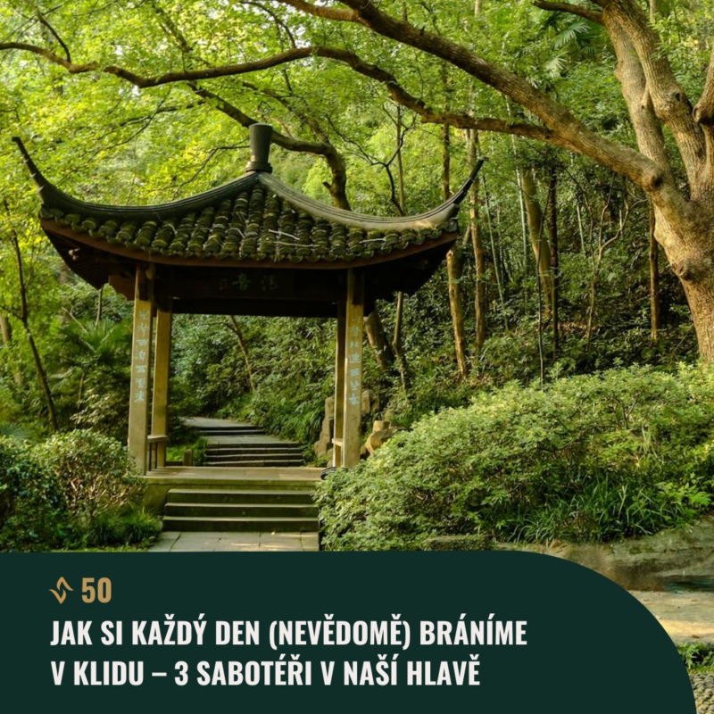 Obrázek epizody #50 Jak si každý den (nevědomě) bráníme v klidu – 3 sabotéři v naší hlavě