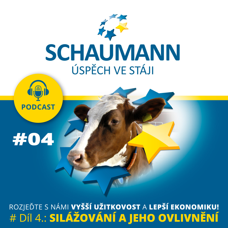 Obrázek epizody #Díl 4.: Schaumann - SILÁŽNÍ PROCES A JEHO OVLIVNĚNÍ