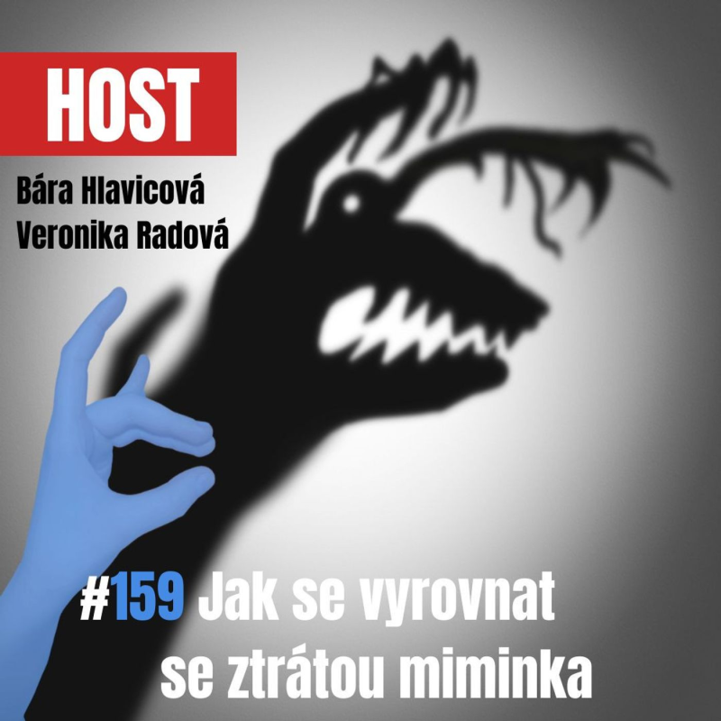 Obrázek epizody 159: Jak se vyrovnat se ztrátou miminka