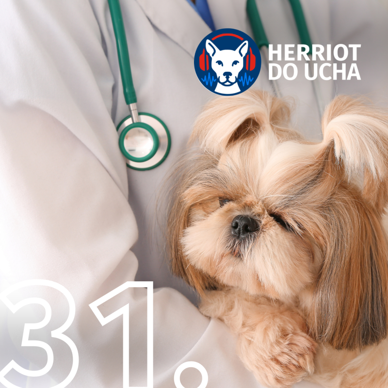 Obrázek epizody #31 Veterináři bez hranic - MVDr. David Modrý, Ph.D.