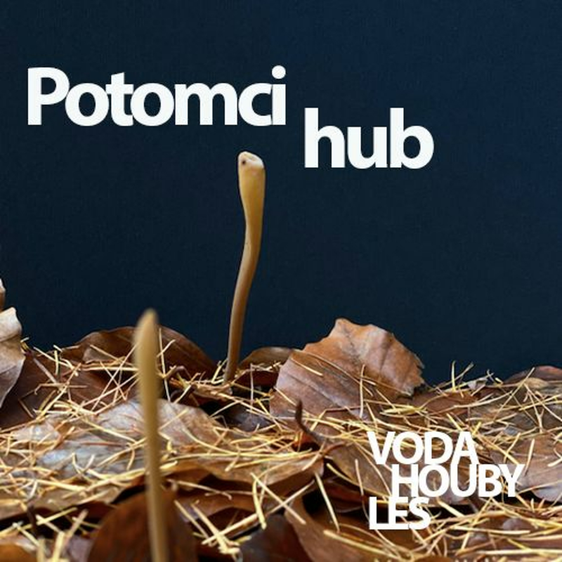Obrázek epizody Potomci hub - Lukáš Senft: Houbaření v antropocénu