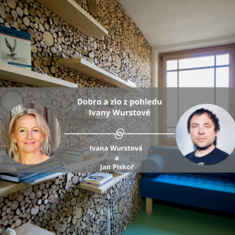 Obrázek epizody Představení lektorky Ivany Wurstové #konstelace