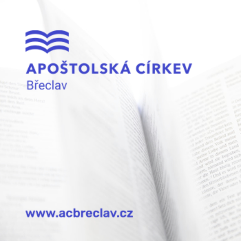 Obrázek epizody Zdravé manželství - Petr Rattay