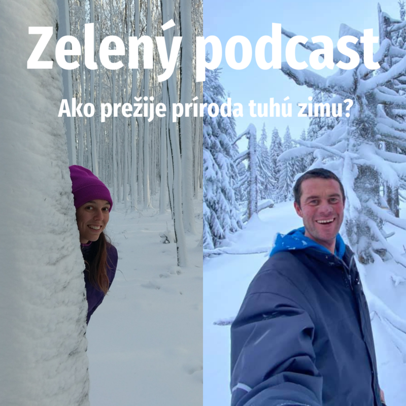 Obrázek epizody Ako prežije príroda tuhú zimu?