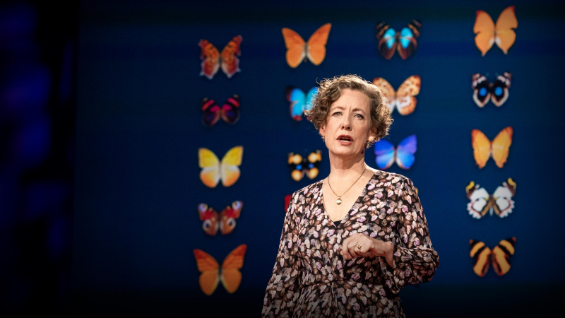 Obrázek epizody How you can help save the monarch butterfly -- and the planet | Mary Ellen Hannibal