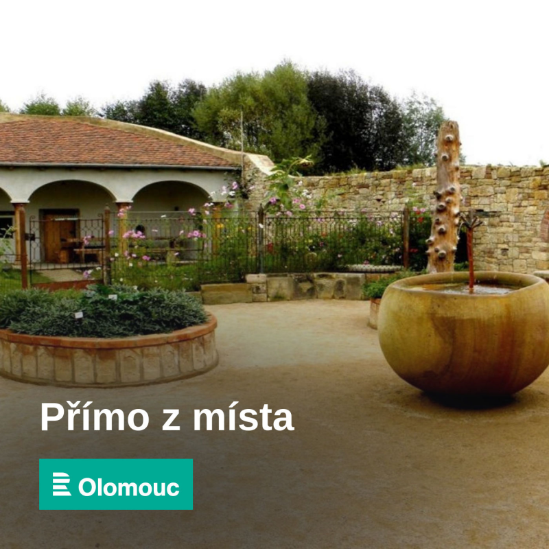 Obrázek epizody Vetřelec, mimoni nebo koronavirus. V Citově jsou k vidění nevšední sochy z rukou amatérského kováře