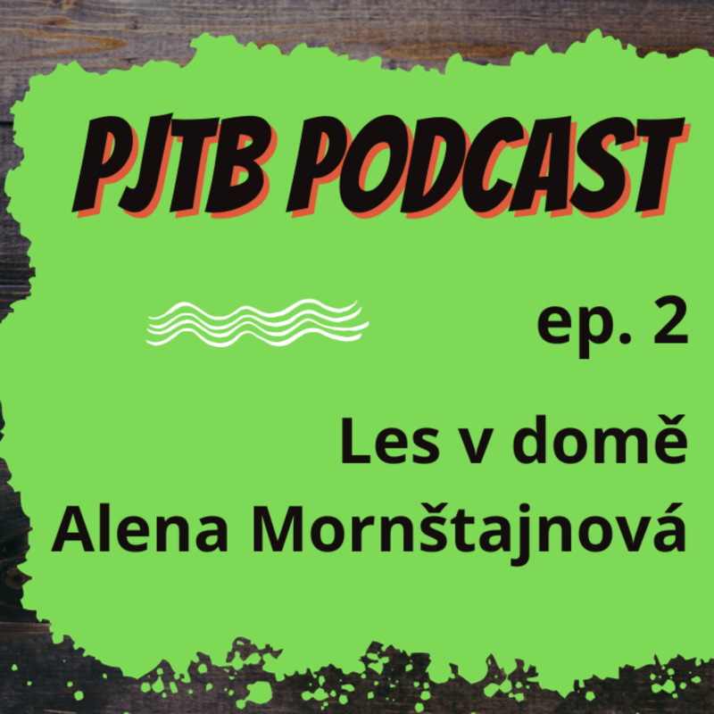 Obrázek epizody Ep. 2: Proč je LES V DOMĚ bestseller? Jak psát jako ALENA MORNŠTAJNOVÁ