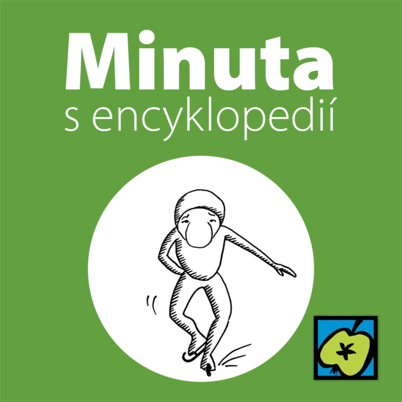 Obrázek epizody Rychlobruslení