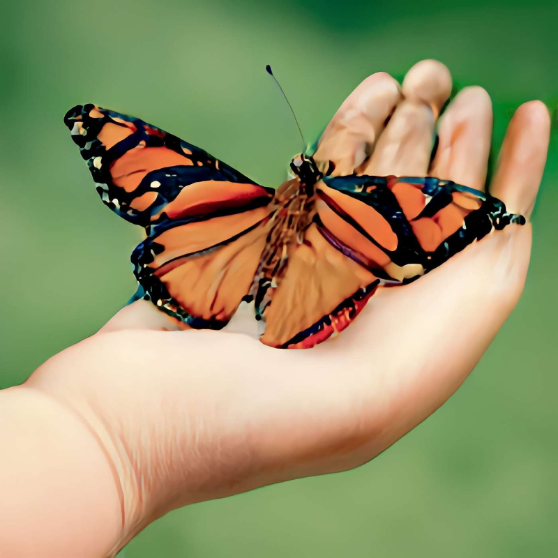 Obrázek epizody Přestaň se tím trápit