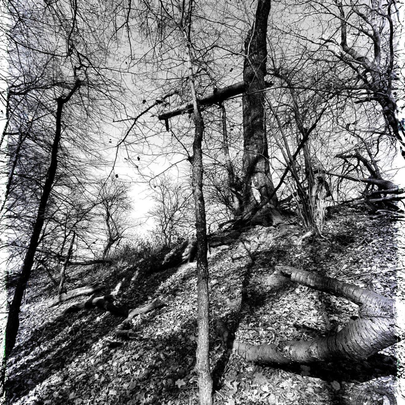 Obrázek epizody Listopadová