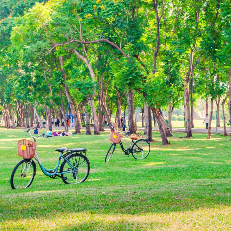Obrázek epizody City Park Ambience | Soothing Soundscape for Focus & Relaxation