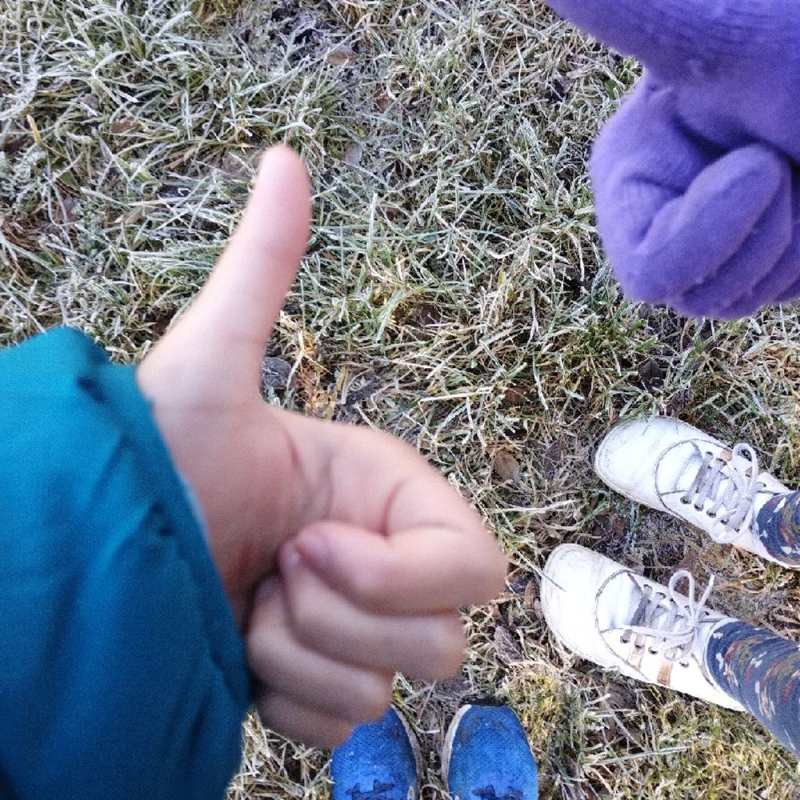 Obrázek epizody O partě - Zvířecí parta