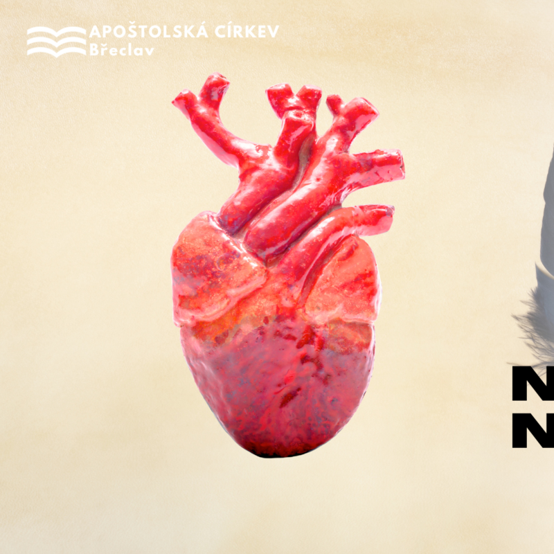 Obrázek epizody Nové srdce, nová slova - Rudolf Vrba