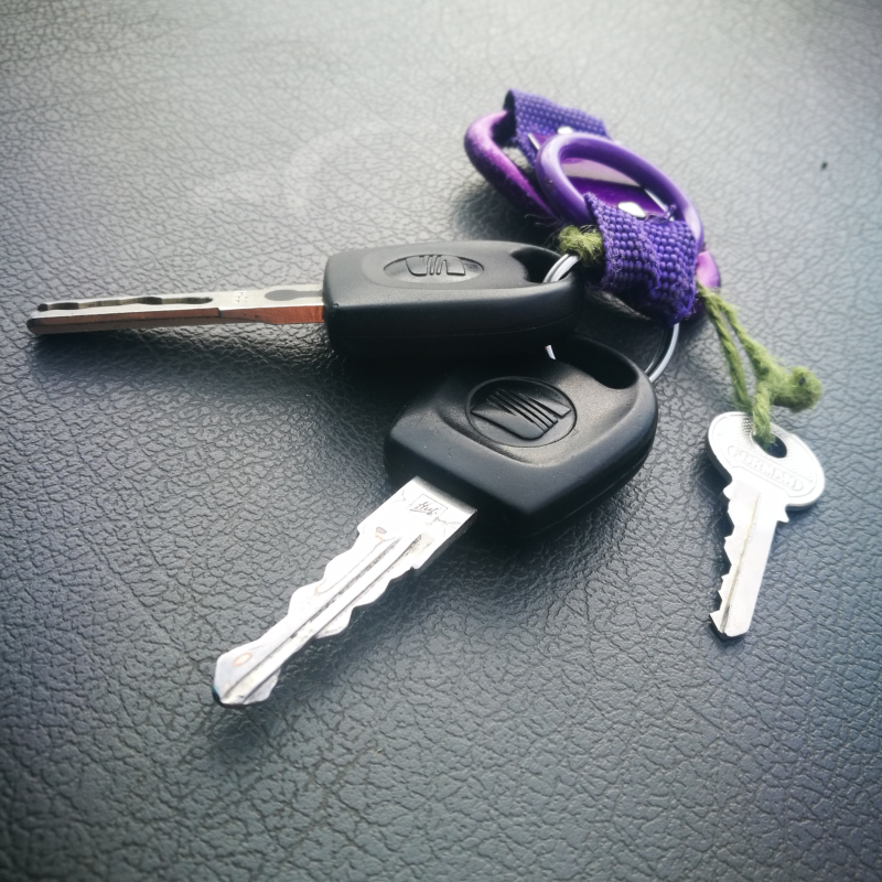 Obrázek epizody 07:: Evoluce. Prapračlověk. Cyklus lidstva v dítěti.