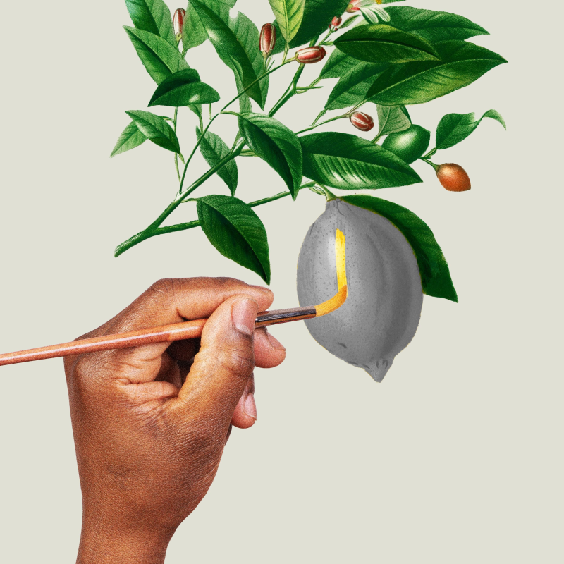 Obrázek epizody Forever Fresh