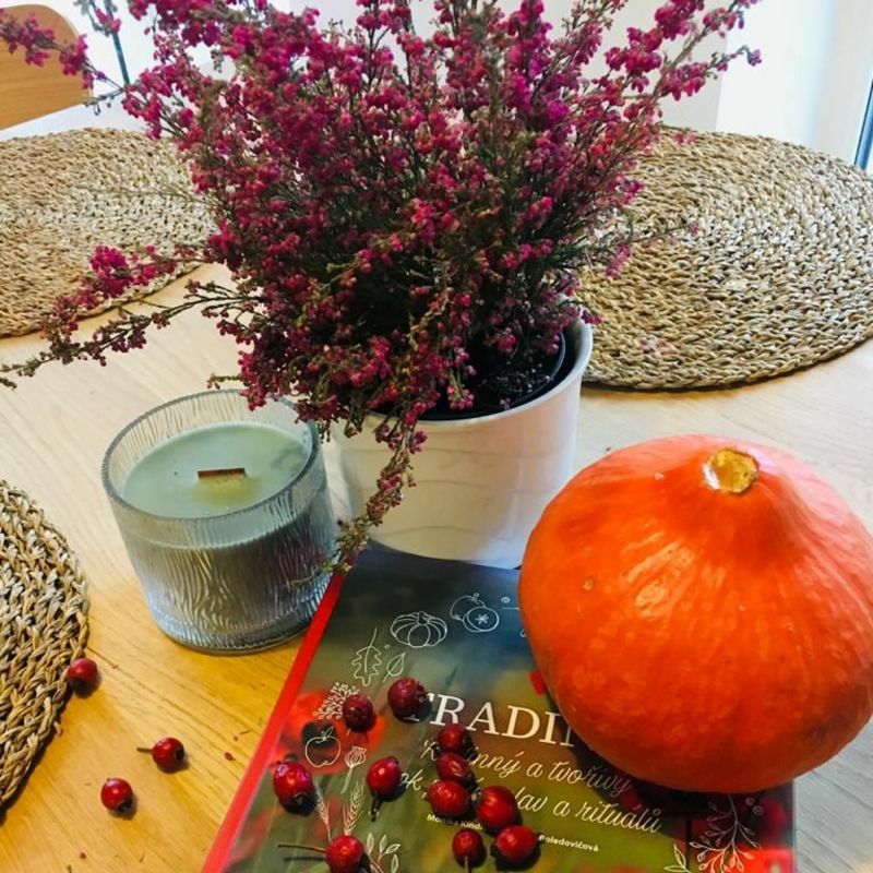 Obrázek epizody 26. Bez vitamínů ani ránu!