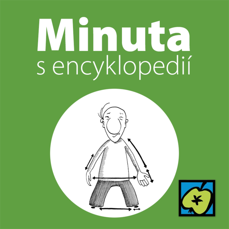 Obrázek epizody Metr