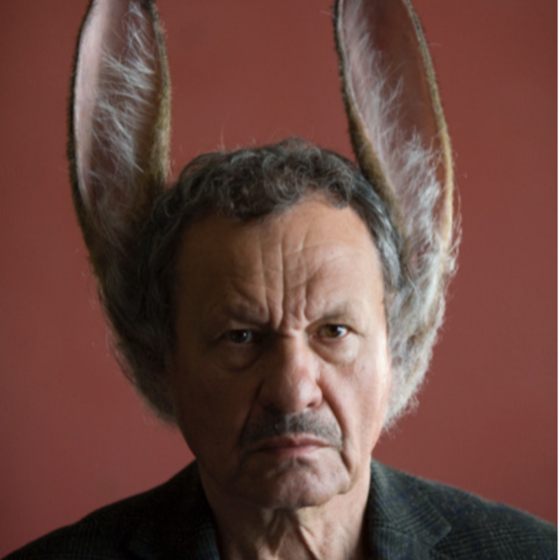 Obrázek epizody #31: Filmovka a hudba bez stresu mezi otevřenými domy (2. 8. – 8. 8. 2021)