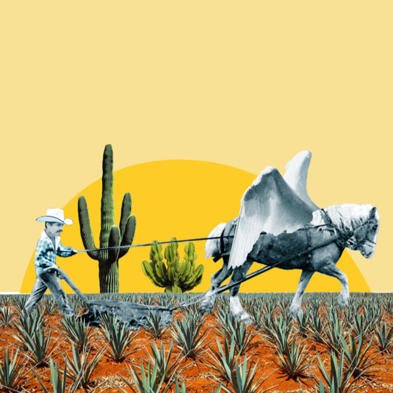 Obrázek epizody #46 Project Pegasus 2: „43 zmizelých“ a jejich sledovaní rodiče