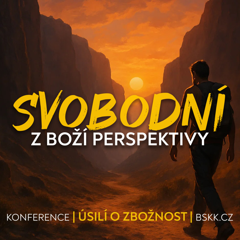 Obrázek epizody #01 Svobodní z Boží perspektivy - seminář pro svobodné | Konference Úsilí o svatost 2024