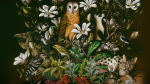 Obrázek epizody The beauty of wildlife — and an artistic call to protect it | Isabella Kirkland
