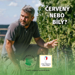 Obrázek epizody 037: Jaromír Gala o světových vínech, prvním Pinotu a respektu ke krajině