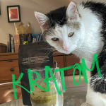 Obrázek epizody Kratom