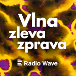 Obrázek epizody Vlna: Příklon ke konzervatismu souvisí s pocitem ohrožení, říká politoložka. Jak se liší postoje Gen Z?