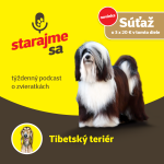 Obrázek epizody Psy: Tibetský teriér