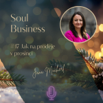 Obrázek epizody #17 Jak na prodeje v prosinci