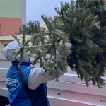 Obrázek epizody Pracovníci Technických služeb města Mostu začali z mosteckých ulic svážet vánoční stromky.