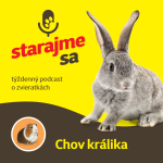 Obrázek epizody Drobné cicavce: Chov králika